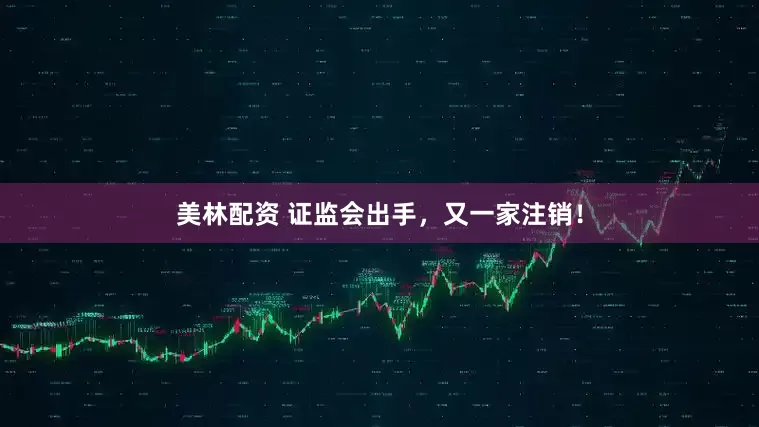 美林配资 证监会出手，又一家注销！