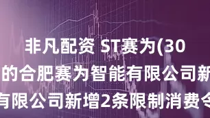 非凡配资 ST赛为(300044)控股的合肥赛为智能有限公司新增2条限制消费令信息